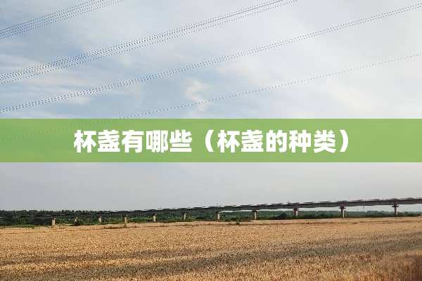 杯盏有哪些（杯盏的种类）