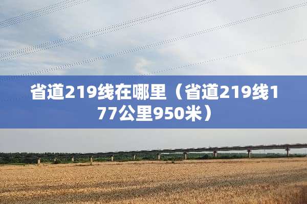省道219线在哪里（省道219线177公里950米）