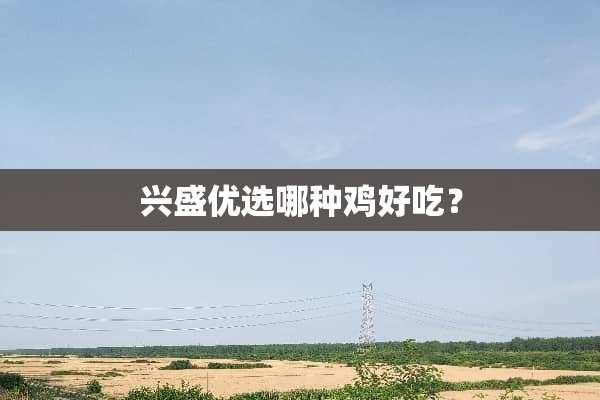 兴盛优选哪种鸡好吃？