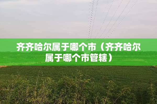 齐齐哈尔属于哪个市（齐齐哈尔属于哪个市管辖）