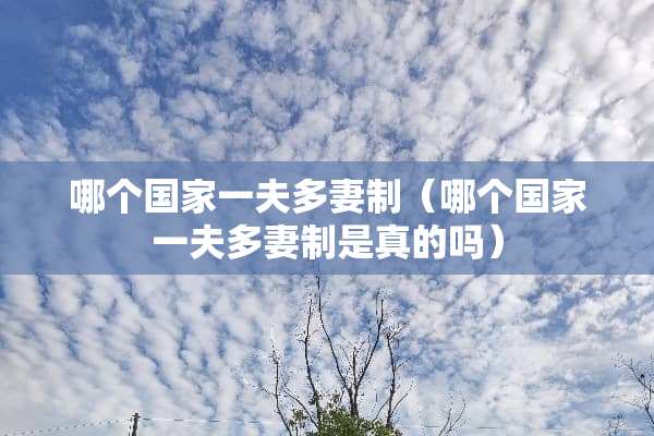 哪个国家一夫多妻制（哪个国家一夫多妻制是真的吗）