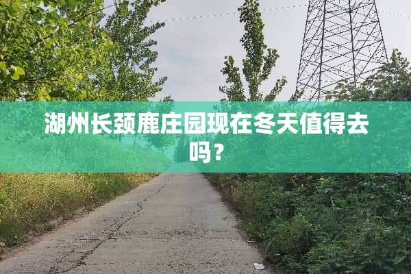 湖州长颈鹿庄园现在冬天值得去吗？