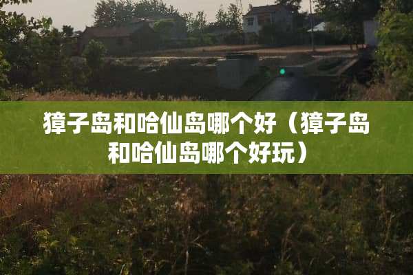 獐子岛和哈仙岛哪个好（獐子岛和哈仙岛哪个好玩）