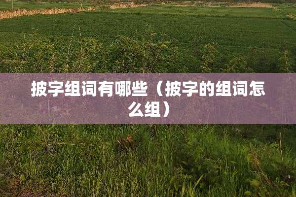 披字组词有哪些（披字的组词怎么组）