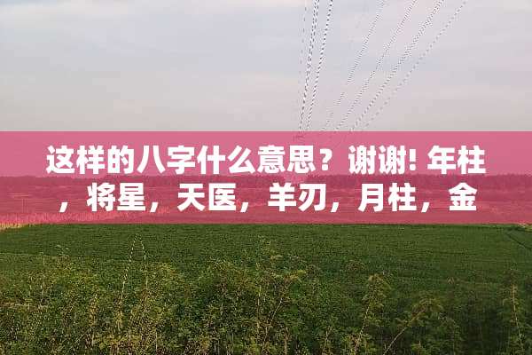 这样的八字什么意思？谢谢! 年柱，将星，天医，羊刃，月柱，金舆，日柱，将星？