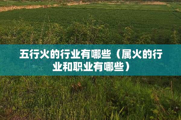 五行火的行业有哪些（属火的行业和职业有哪些）
