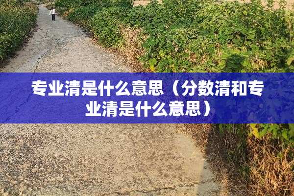专业清是什么意思（分数清和专业清是什么意思）