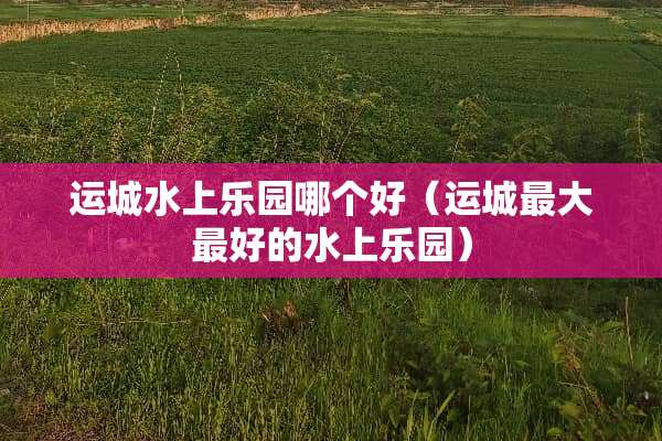 运城水上乐园哪个好（运城最大最好的水上乐园）