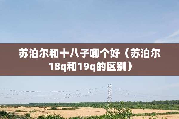 苏泊尔和十八子哪个好（苏泊尔18q和19q的区别）