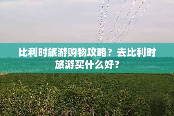 比利时旅游购物攻略？去比利时旅游买什么好？