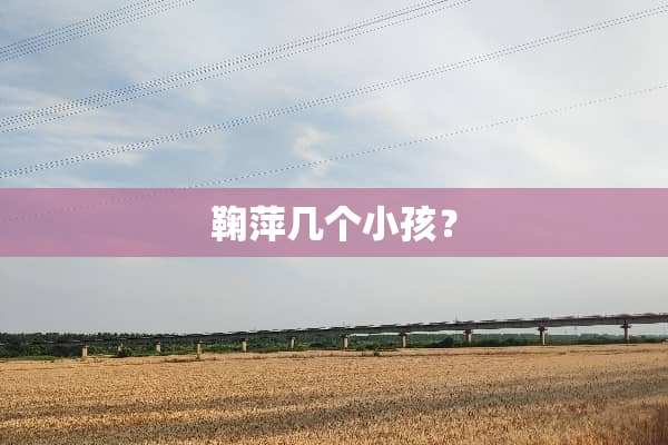鞠萍几个小孩？