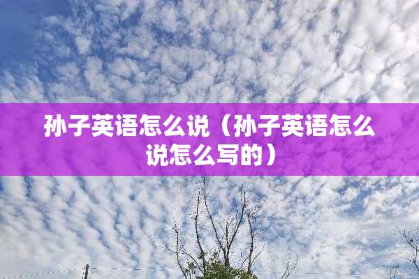 孙子英语怎么说（孙子英语怎么说怎么写的）