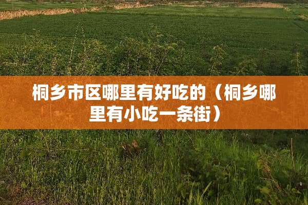 桐乡市区哪里有好吃的（桐乡哪里有小吃一条街）