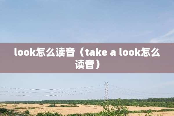 look怎么读音（take a look怎么读音）