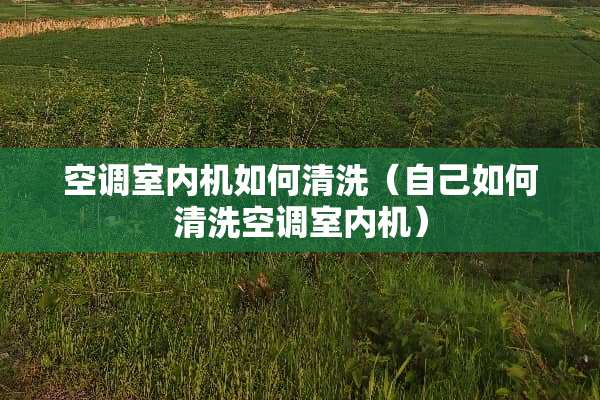 空调室内机如何清洗（自己如何清洗空调室内机）
