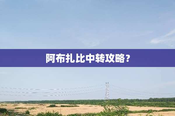 阿布扎比中转攻略？