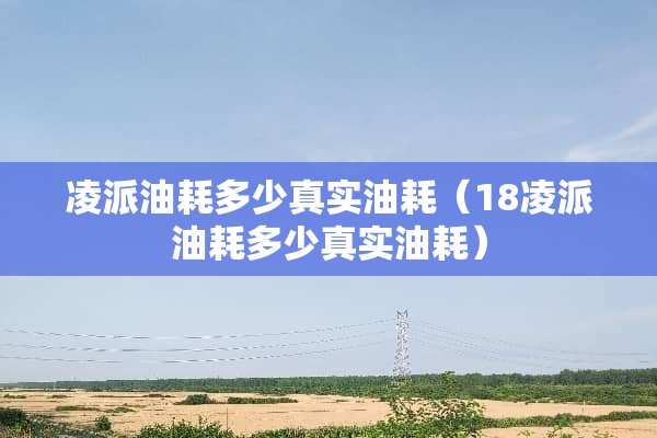 凌派油耗多少真实油耗（18凌派油耗多少真实油耗）