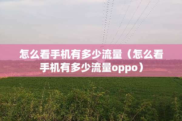 怎么看手机有多少流量（怎么看手机有多少流量oppo）