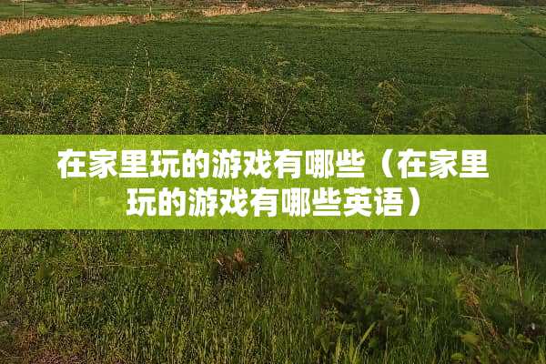 在家里玩的游戏有哪些（在家里玩的游戏有哪些英语）