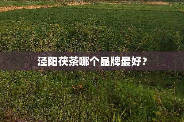 泾阳茯茶哪个品牌最好？