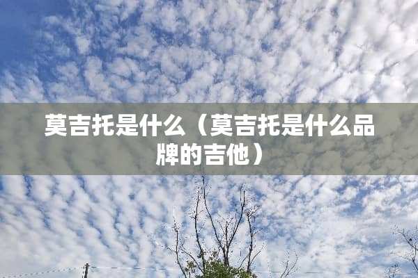 莫吉托是什么（莫吉托是什么品牌的吉他）