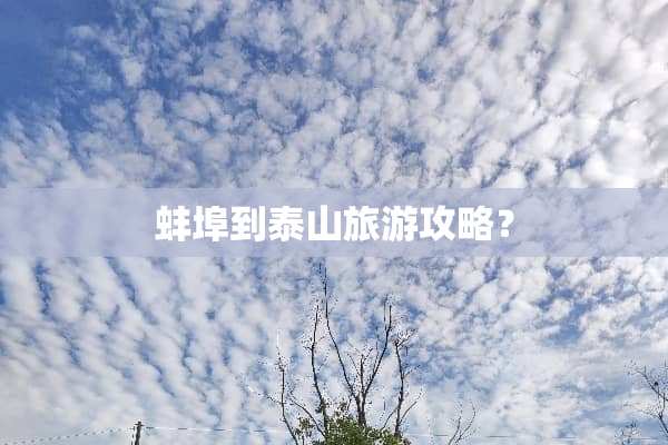 蚌埠到泰山旅游攻略？