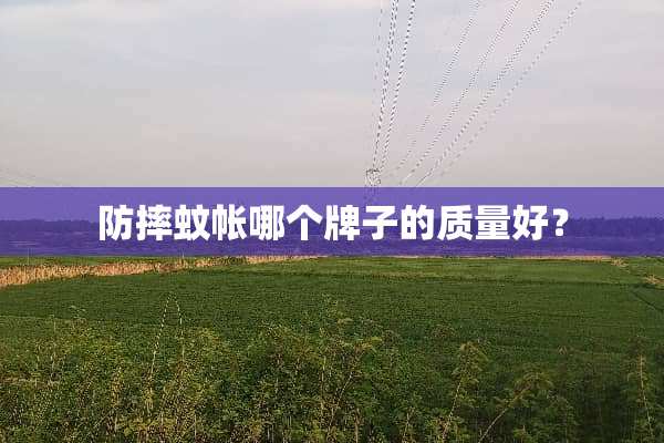 防摔蚊帐哪个牌子的质量好？