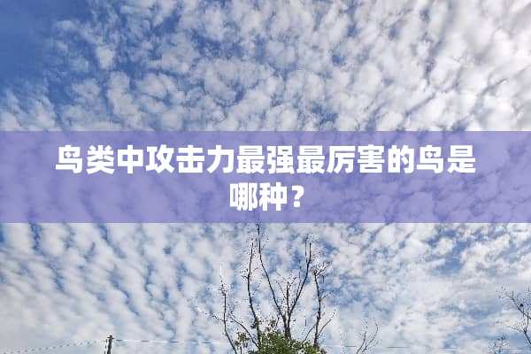 鸟类中攻击力最强最厉害的鸟是哪种？