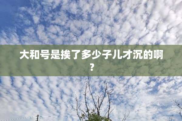 大和号是挨了多少子儿才沉的啊？