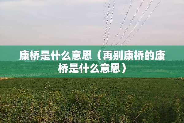 康桥是什么意思（再别康桥的康桥是什么意思）
