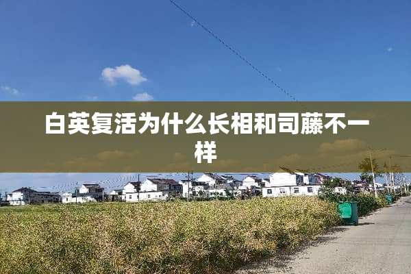 白英**为什么长相和司藤不一样