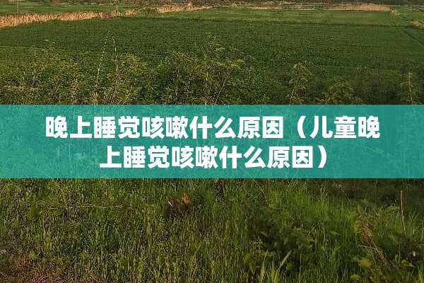 晚上睡觉咳嗽什么原因（儿童晚上睡觉咳嗽什么原因）