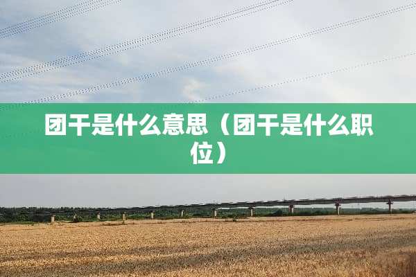 团干是什么意思（团干是什么职位）