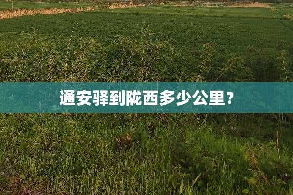 通安驿到陇西多少公里？