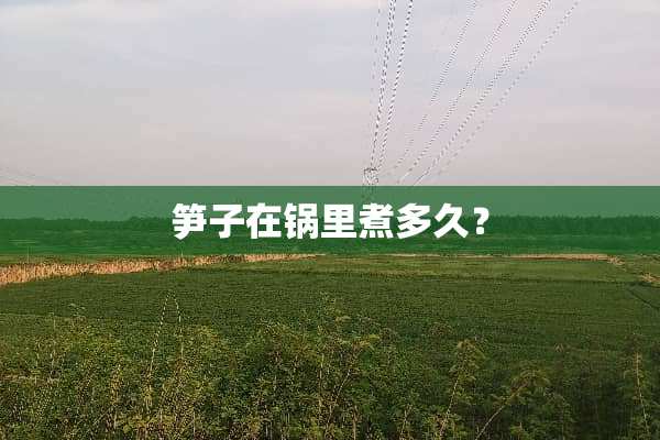 笋子在锅里煮多久？