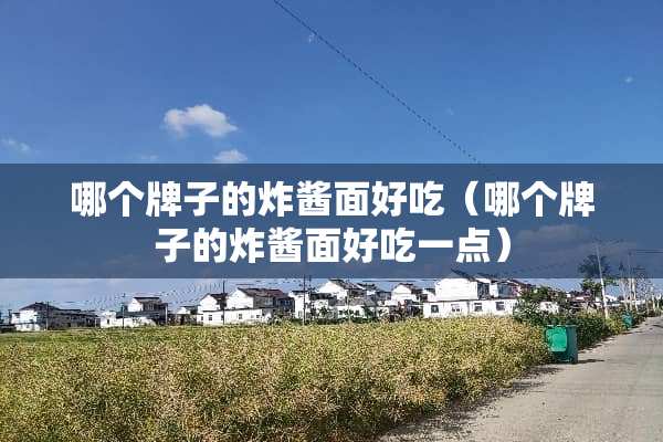 哪个牌子的炸酱面好吃（哪个牌子的炸酱面好吃一点）