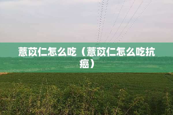 薏苡仁怎么吃（薏苡仁怎么吃抗癌）