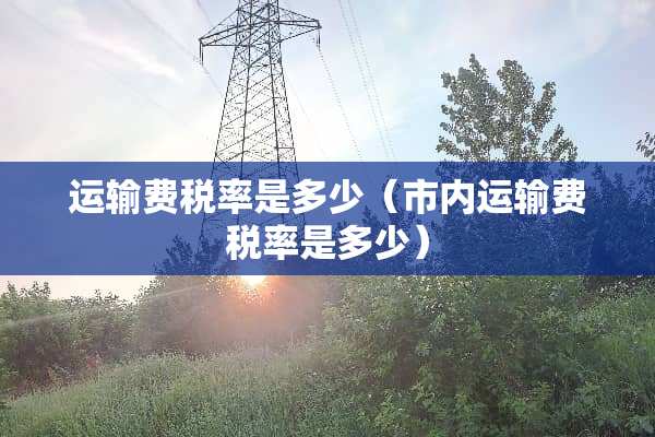 运输费税率是多少（市内运输费税率是多少）