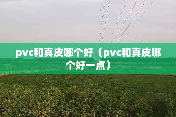 pvc和真皮哪个好（pvc和真皮哪个好一点）