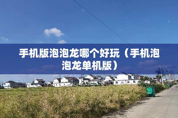 手机版泡泡龙哪个好玩（手机泡泡龙单机版）