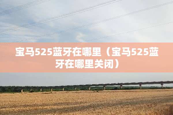 宝马525蓝牙在哪里（宝马525蓝牙在哪里关闭）