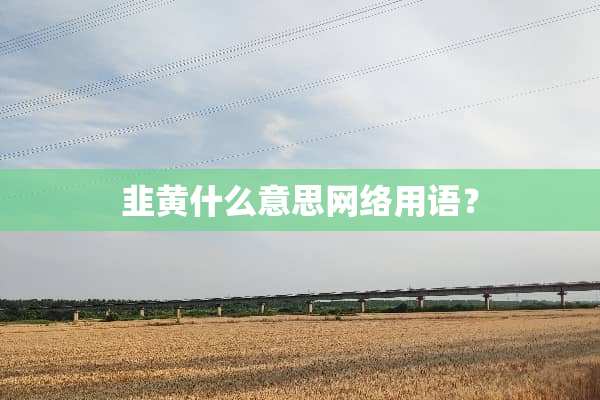 韭黄什么意思网络用语？