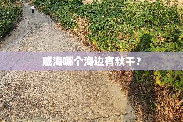 威海哪个海边有秋千？