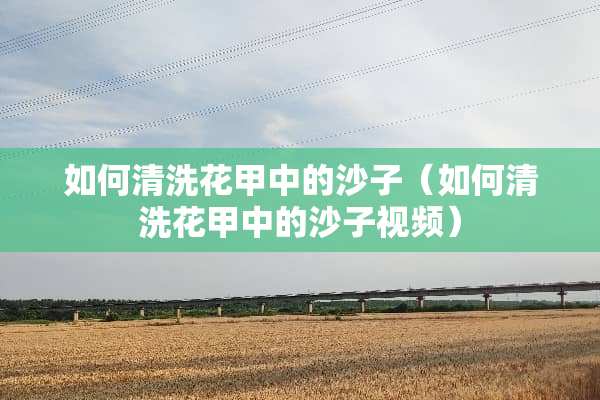 如何清洗花甲中的沙子（如何清洗花甲中的沙子视频）
