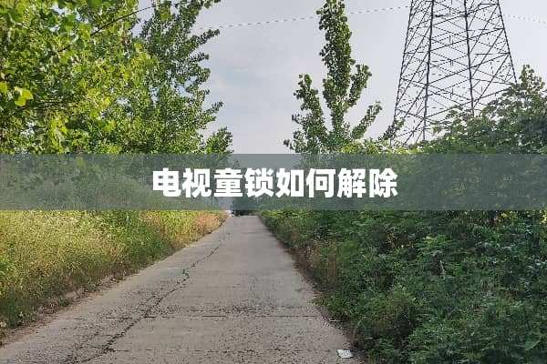电视童锁如何解除
