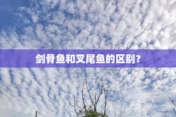 剑骨鱼和叉尾鱼的区别？