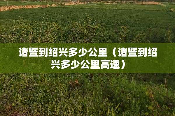 诸暨到绍兴多少公里（诸暨到绍兴多少公里高速）