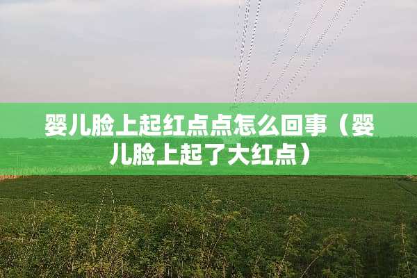 婴儿脸上起红点点怎么回事（婴儿脸上起了大红点）