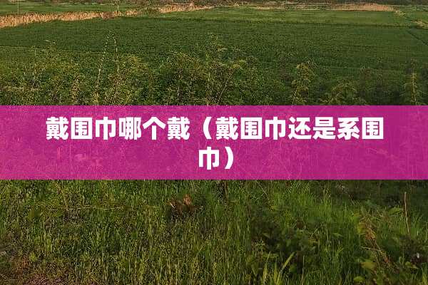 戴围巾哪个戴（戴围巾还是系围巾）