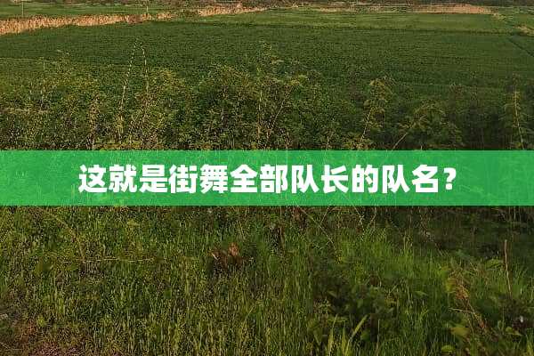 这就是街舞全**长的队名？